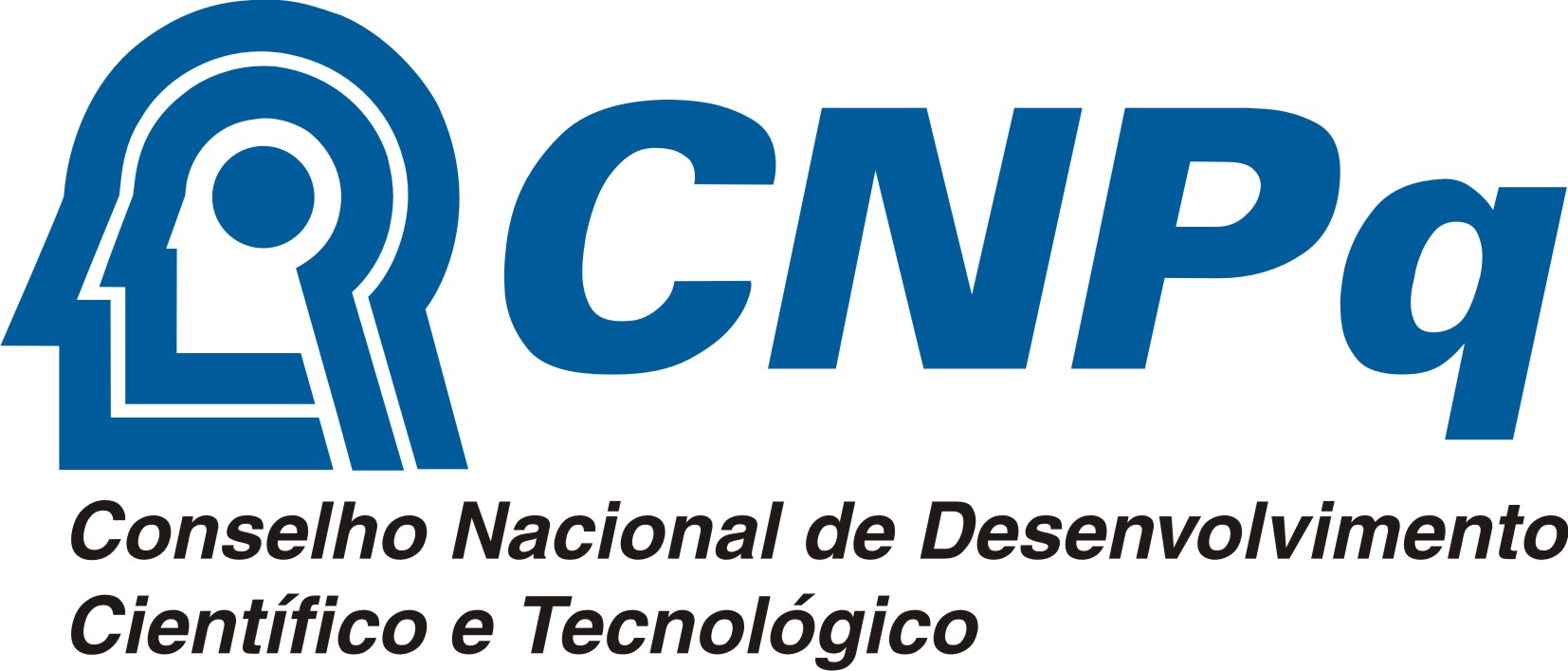 Logo Cnpq