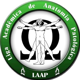 LAAP - logo