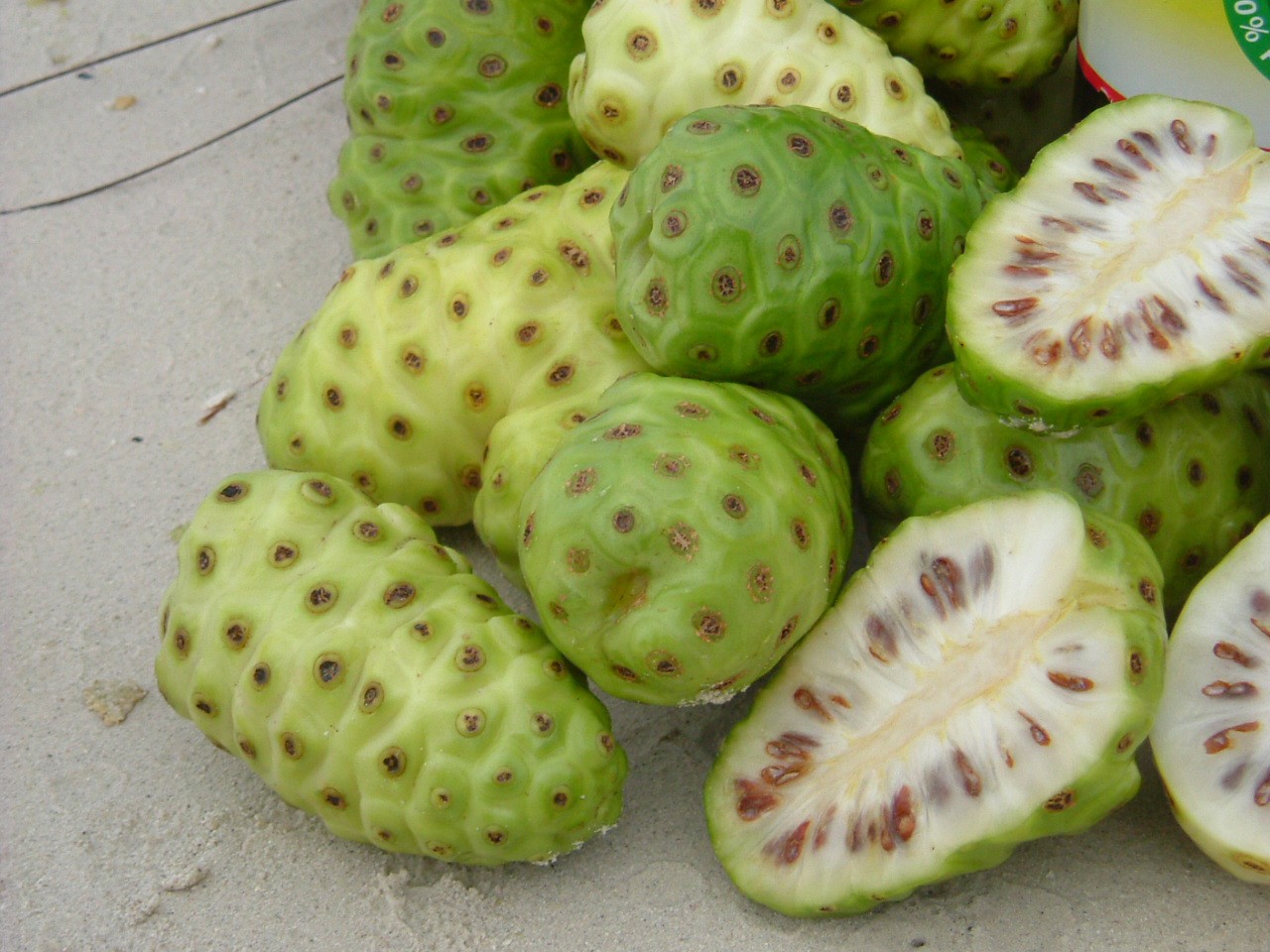 Noni