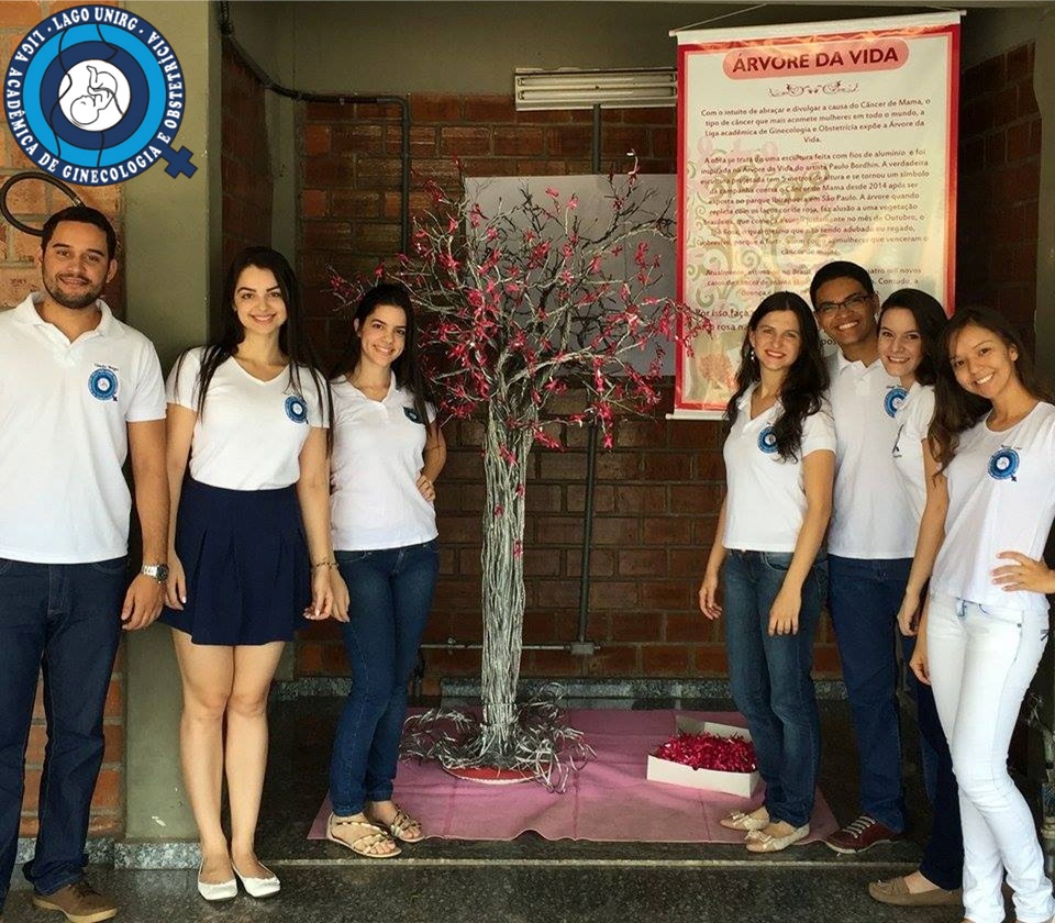 Arvore da Vida Equipe Lago