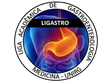 logo ligastro