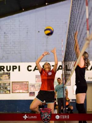 intermed volei