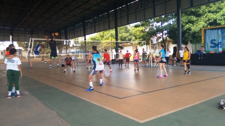 voleibol ok