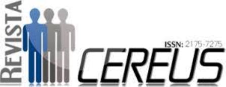 cer 1