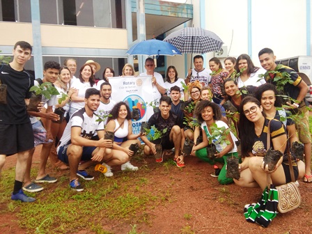 1aplantio de arvores1