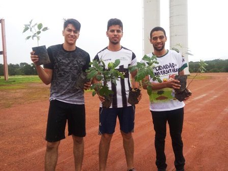 1aplantio de arvores 3