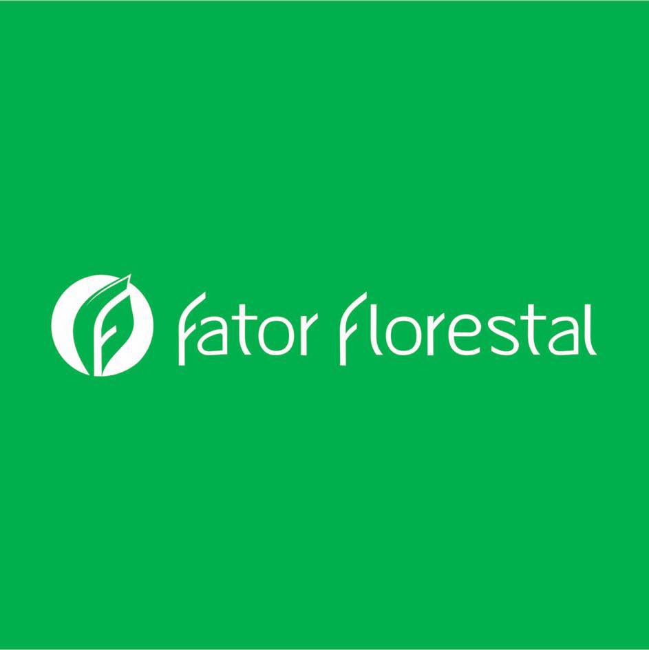 1aFatorFlores