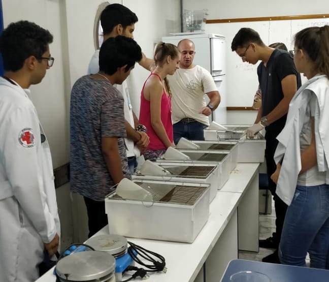 med2
